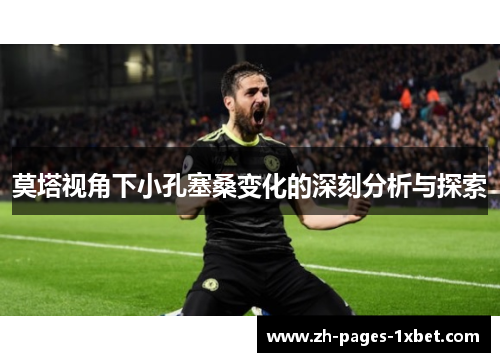 莫塔视角下小孔塞桑变化的深刻分析与探索